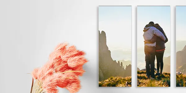 Kodak Paneele Sofort